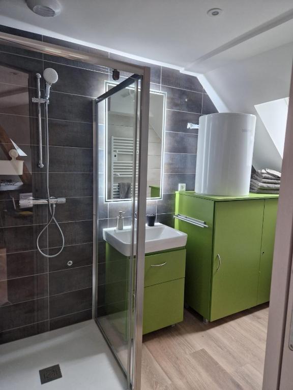Koupelna v ubytování Appartements Les Vosges