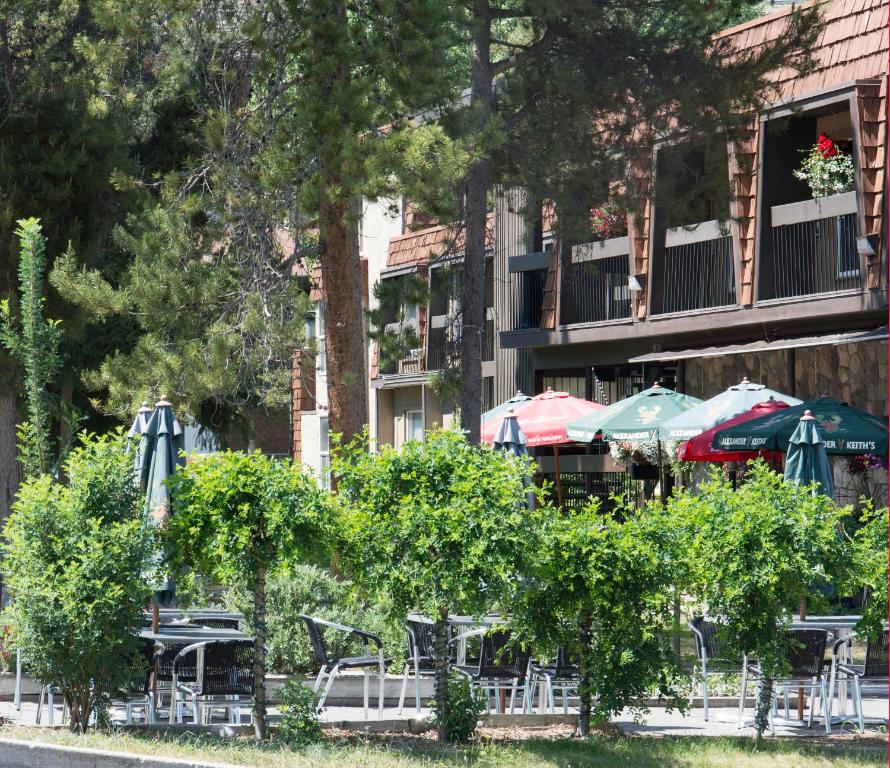 Un jardín fuera de Tonquin Inn