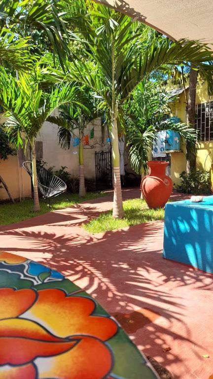 Zahrada ubytování Casa Atrapasueños