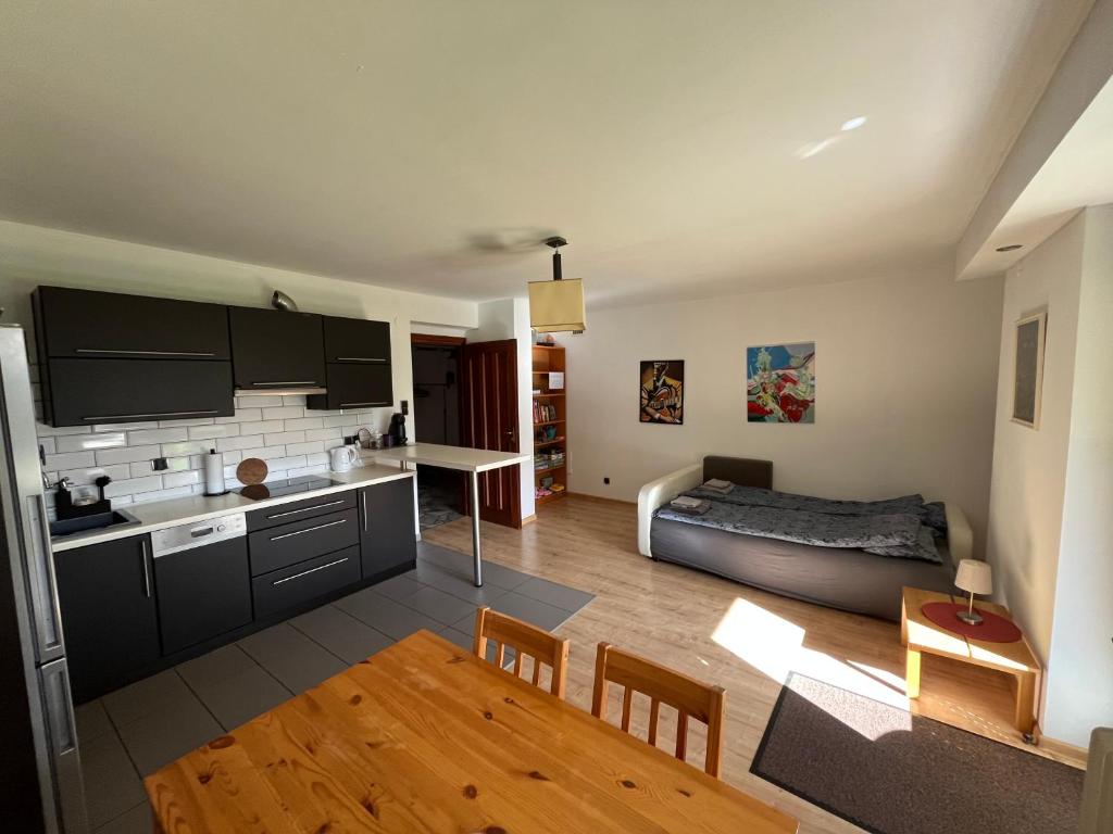 Kuchyň nebo kuchyňský kout v ubytování Apartament MATI