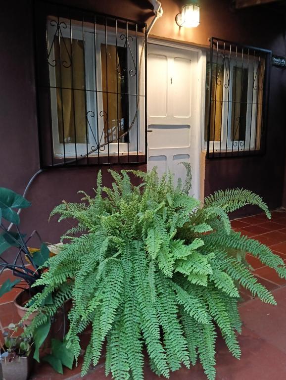 Foto sihtkohas Puerto Iguazú asuva majutusasutuse Residencial Los Pinos galeriist