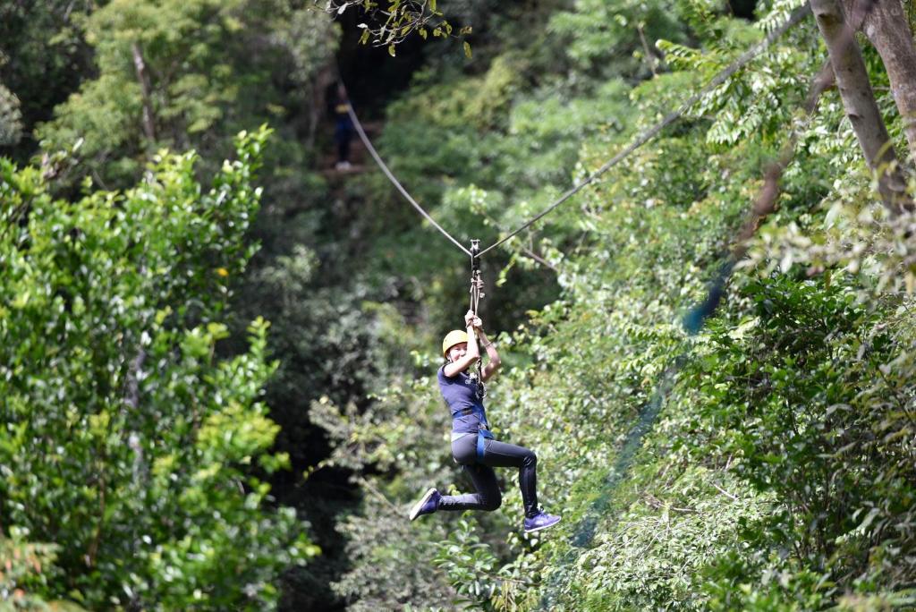 Hosté ubytování Ella Jungle Resort