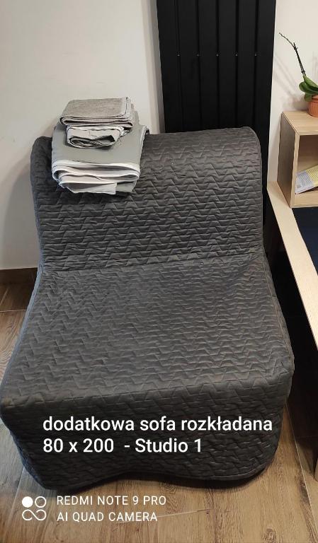 Posezení v ubytování Urocze studia w Łomiankach, 1- z sauną i tarasem, 2- z kominkiem, 3- ekonomiczne, 7km metro Młociny Warszawa