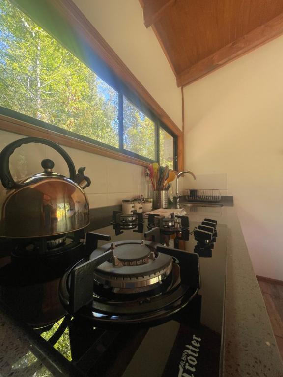 Kuchyň nebo kuchyňský kout v ubytování Pucura Eco Lodge
