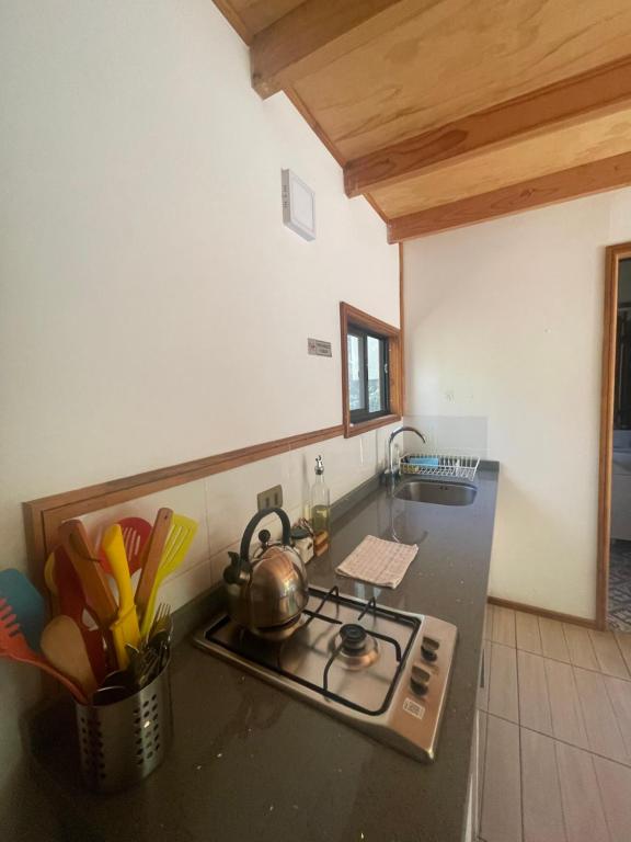 Kuchyň nebo kuchyňský kout v ubytování Pucura Eco Lodge