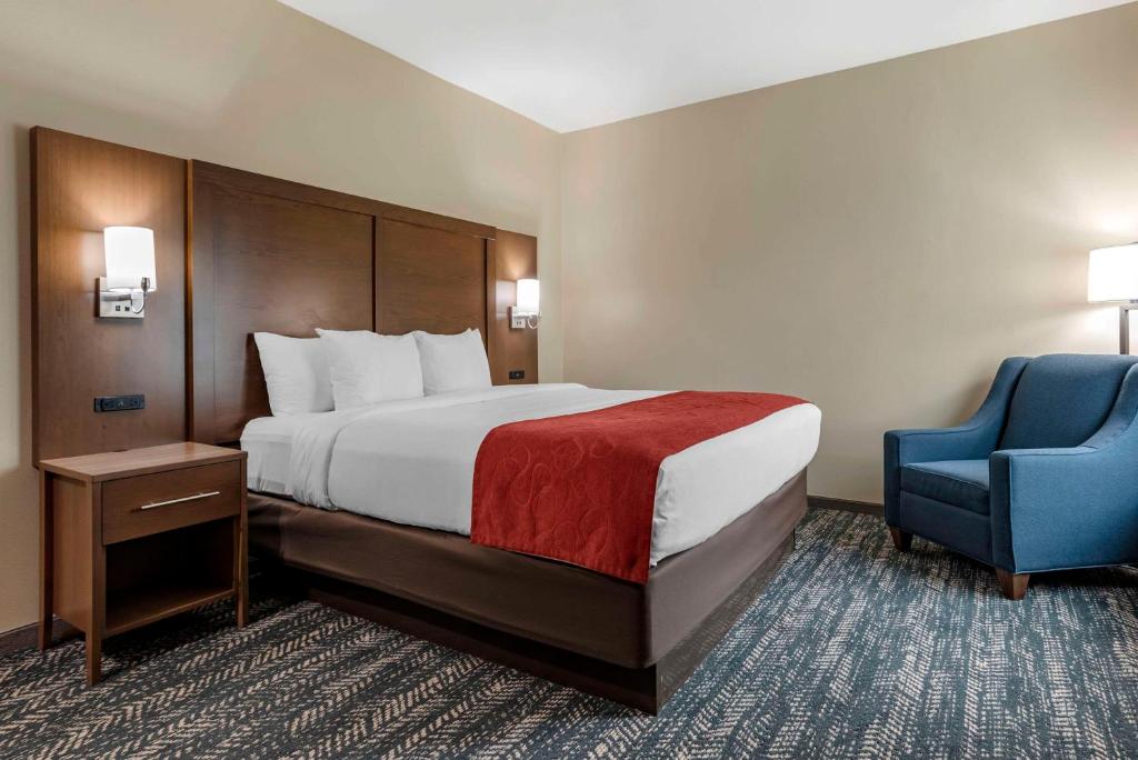 Comfort Inn & Suites Downtown near University photo