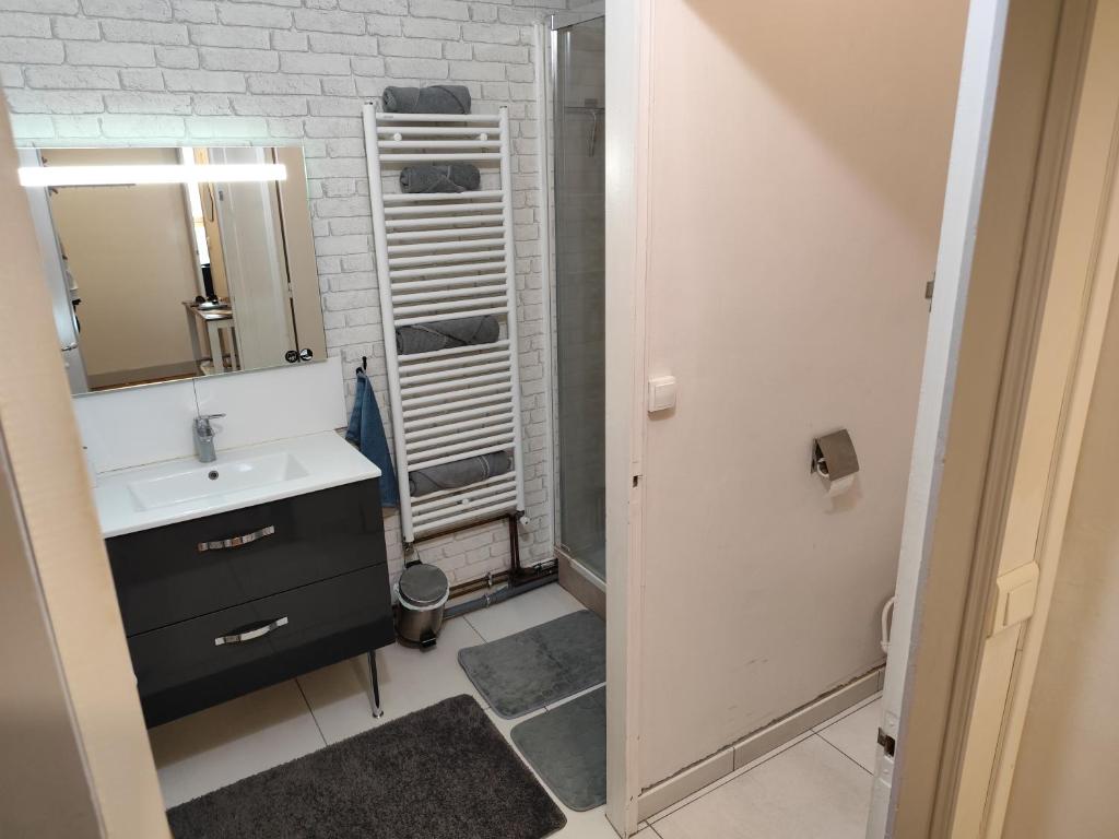 Kúpeľňa v ubytovaní 2 pièces totalement rénové au cœur de Bourges