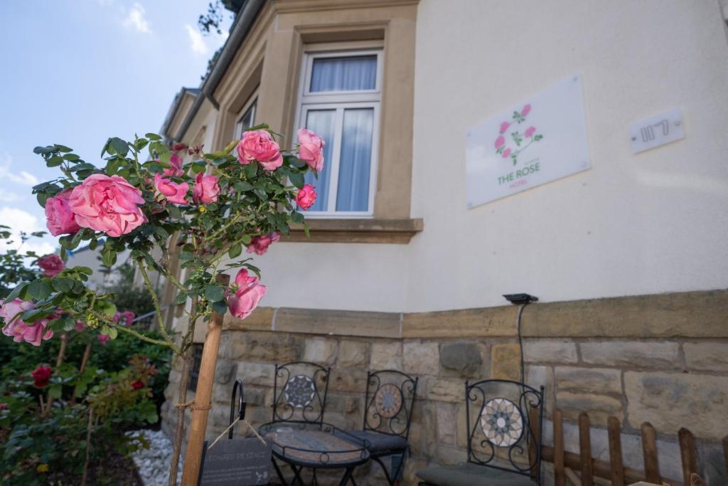 Zahrada ubytování Hotel The Rose by Goeres