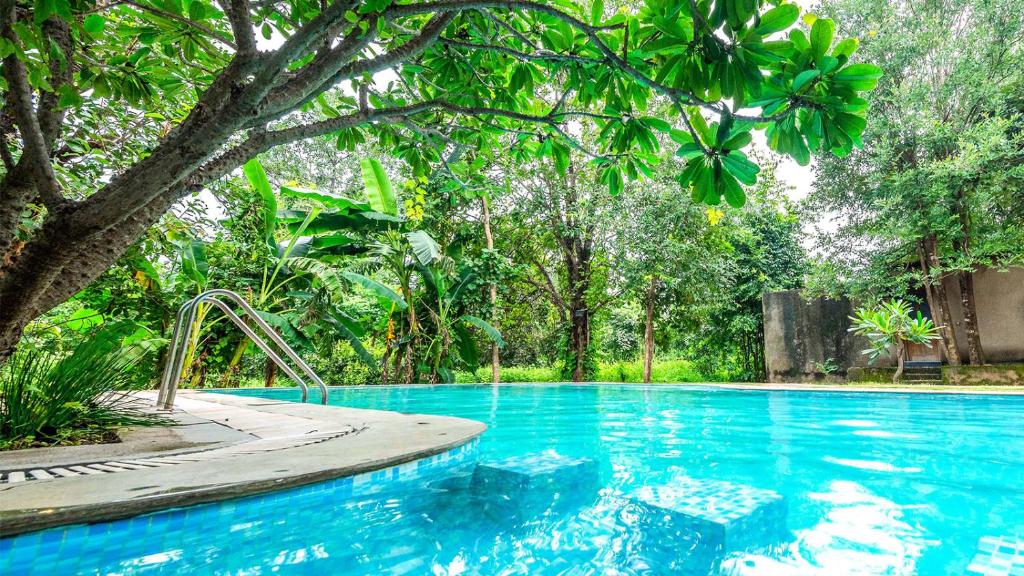 a swimming pool with a tree and a slide at Mahua Vann Pench in Khawāsa