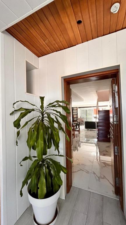 Fotografie z fotogalerie ubytování Villa con piscina privada Palmeras Home v destinaci Las Palmas de Gran Canaria