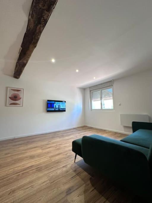 - un salon avec un canapé vert dans l'établissement Maison cosy proche Carcassonne, à Conques-sur-Orbiel