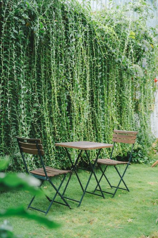 Zahrada ubytování Bến Đò Xưa Homestay & Coffee