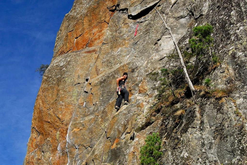 Hosté ubytování Alpenrose