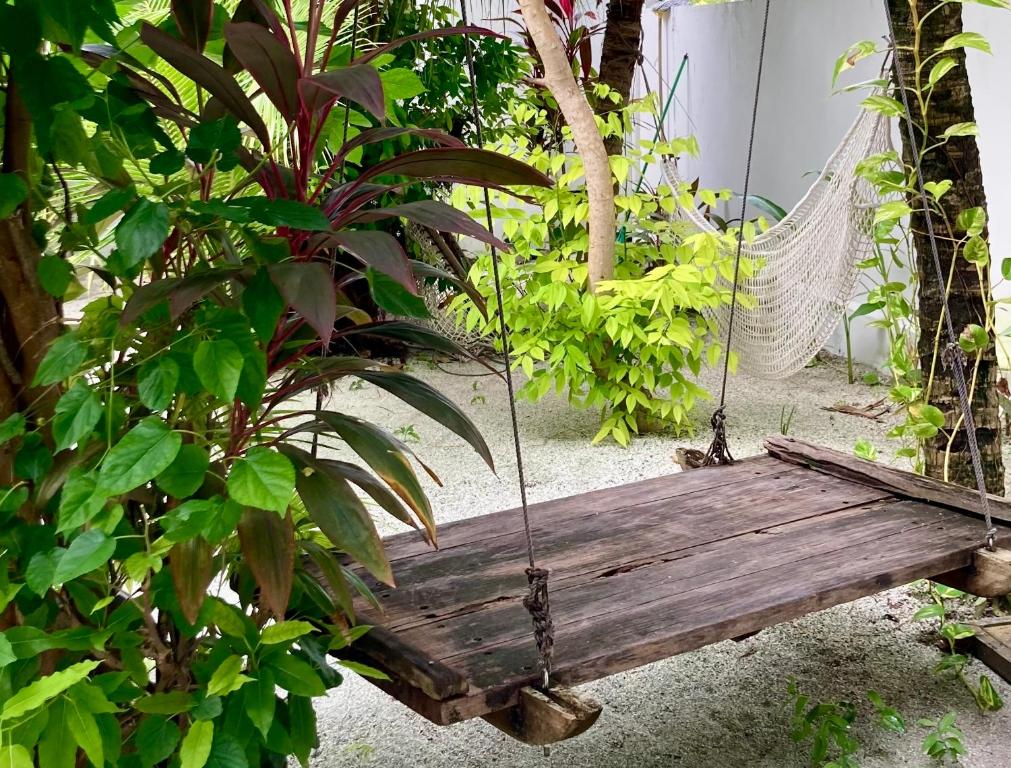 Zahrada ubytování Dhangethi Retreat