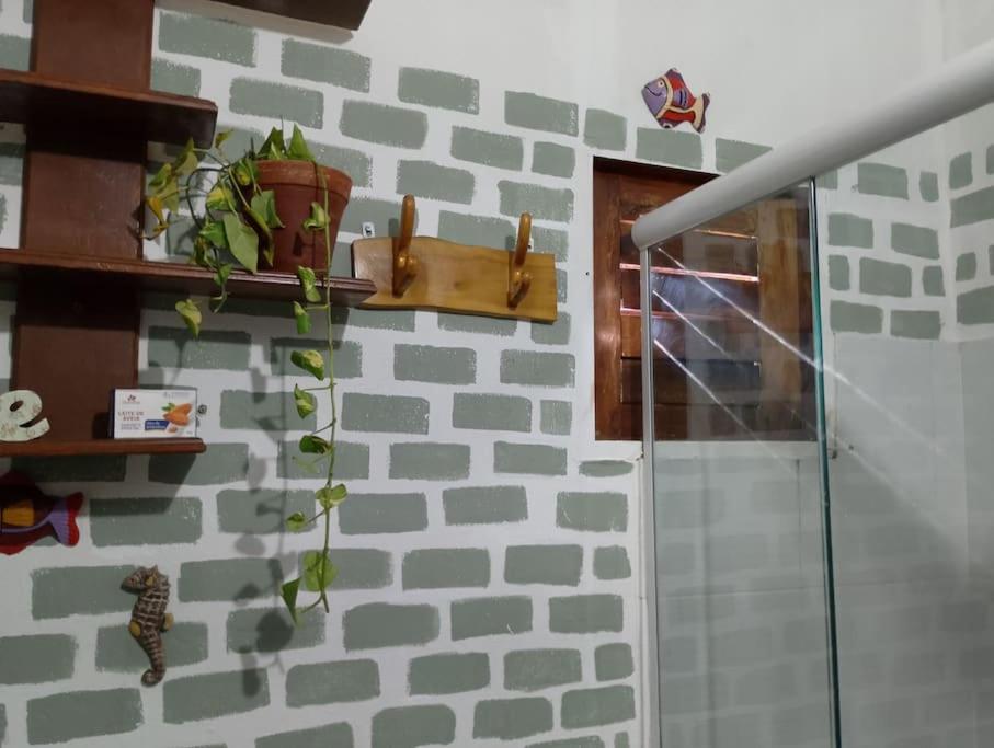 a plant on a shelf on a brick wall at Barefoot KiteHouse in Luis Correia