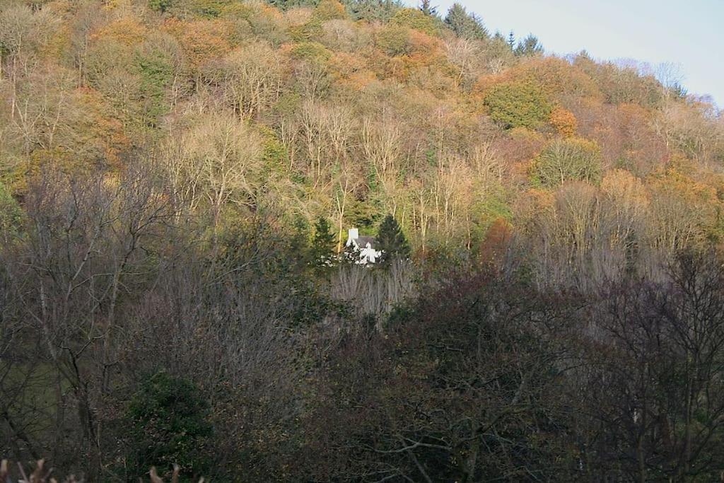 Gallery Detail: Mellow Mountain Eco Retreat Wales Hot Tub Sauna Glyn Ceiriog