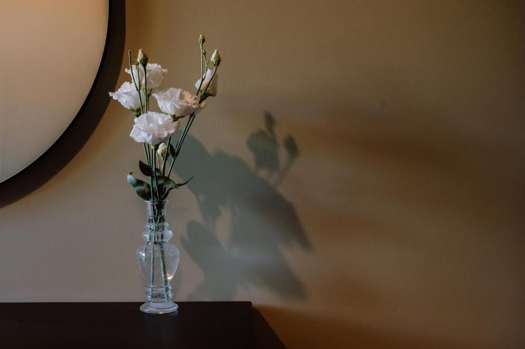 Fotografie z fotogalerie ubytování Motel Oasis v destinaci Corunca