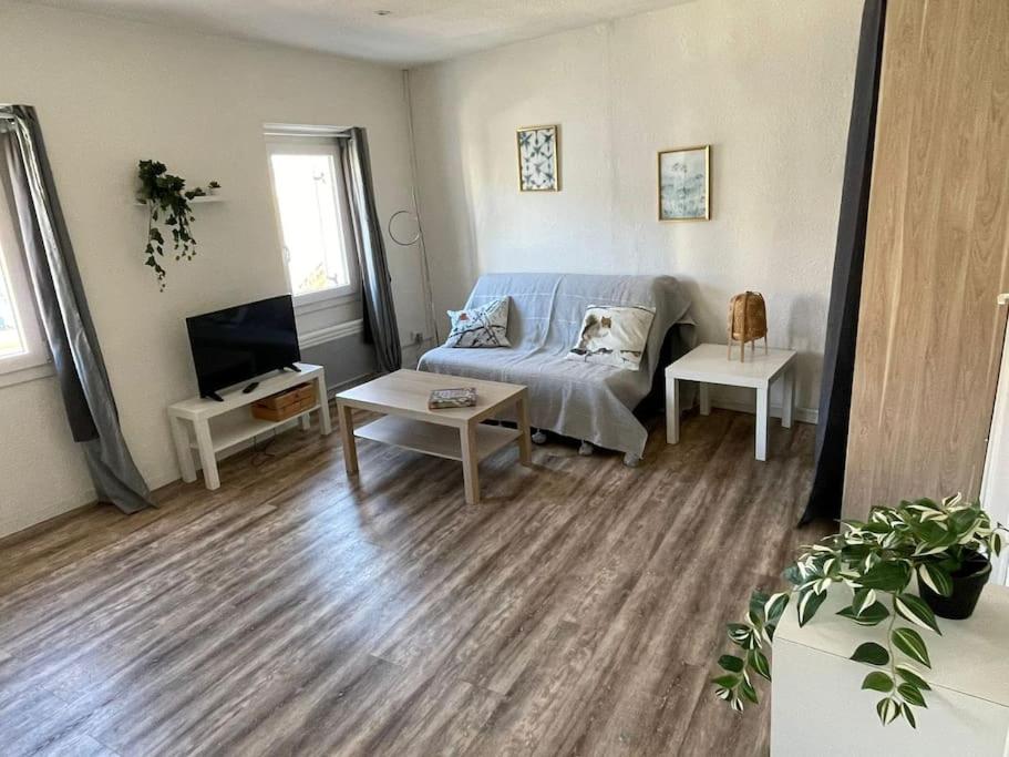 un salon avec un canapé et une télévision dans l'établissement Grand Studio à 100m des plages, à Toulon