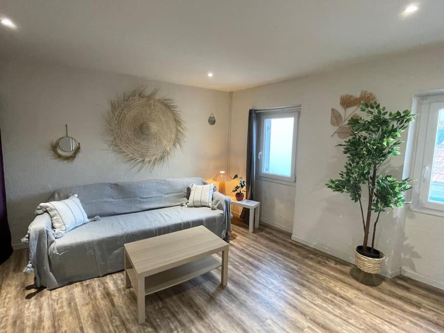 un salon avec un canapé et une table dans l'établissement Beau Studio à 100m des plages, à Toulon