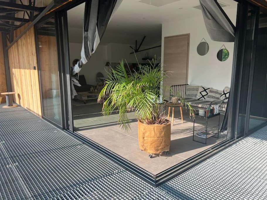 a living room with a potted plant on a patio at Studio proche Moulins in Bressolles