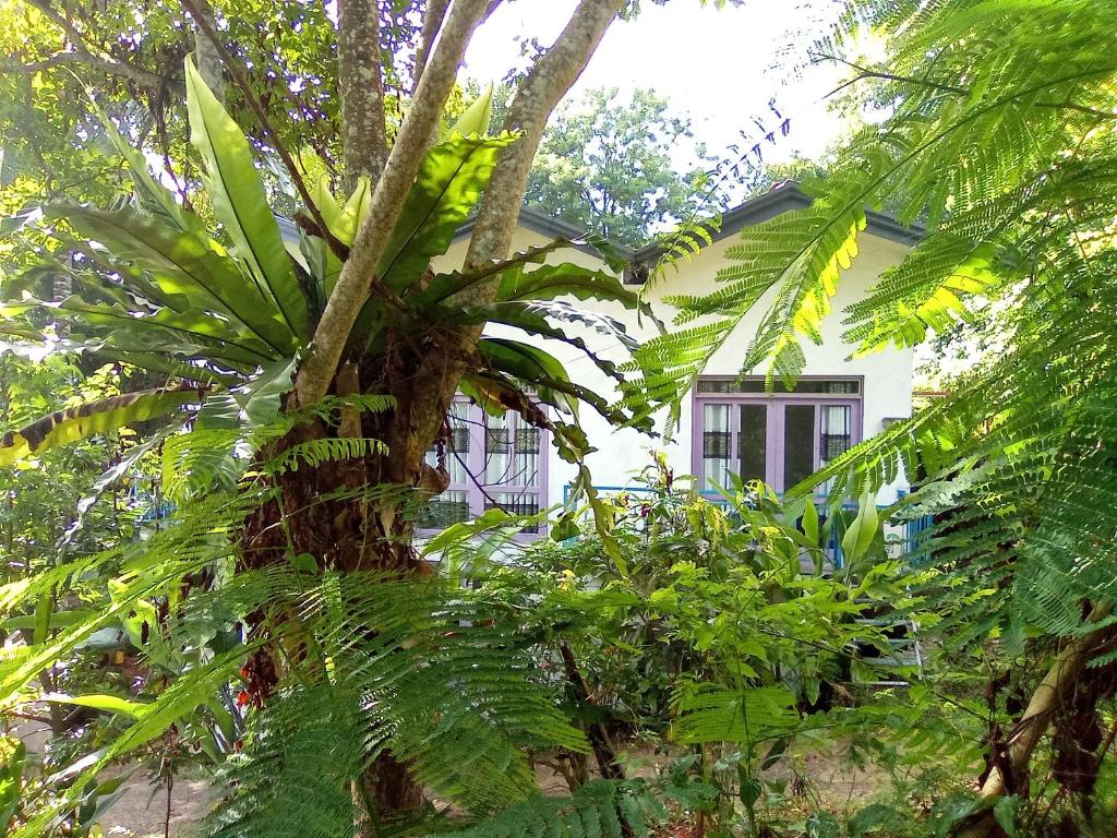 Zahrada ubytování House 73
