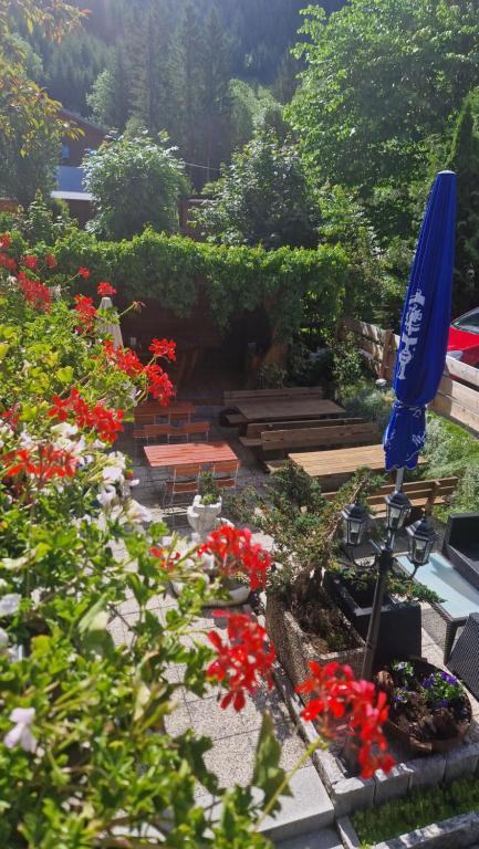 Zahrada ubytování Pension Bergheim