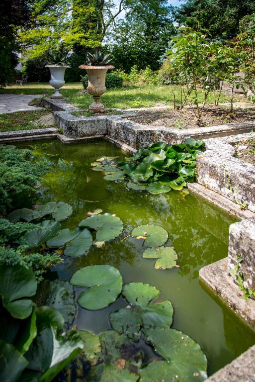 a pond with lily pads in a garden at Chambres d&#39;Hôtes Manoir de Montecler in Chènehutte-les-Tuffeaux