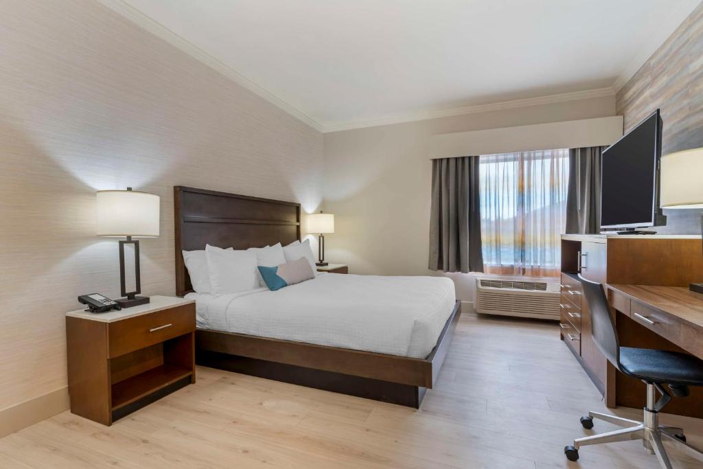 Best Western Plus All Suites Inn - King Room - Non-Smoking