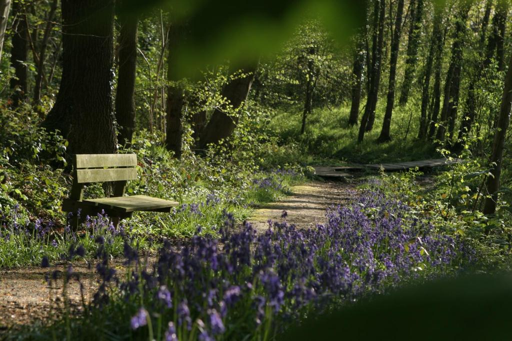 Zahrada ubytování Rodeberg Belle Vue