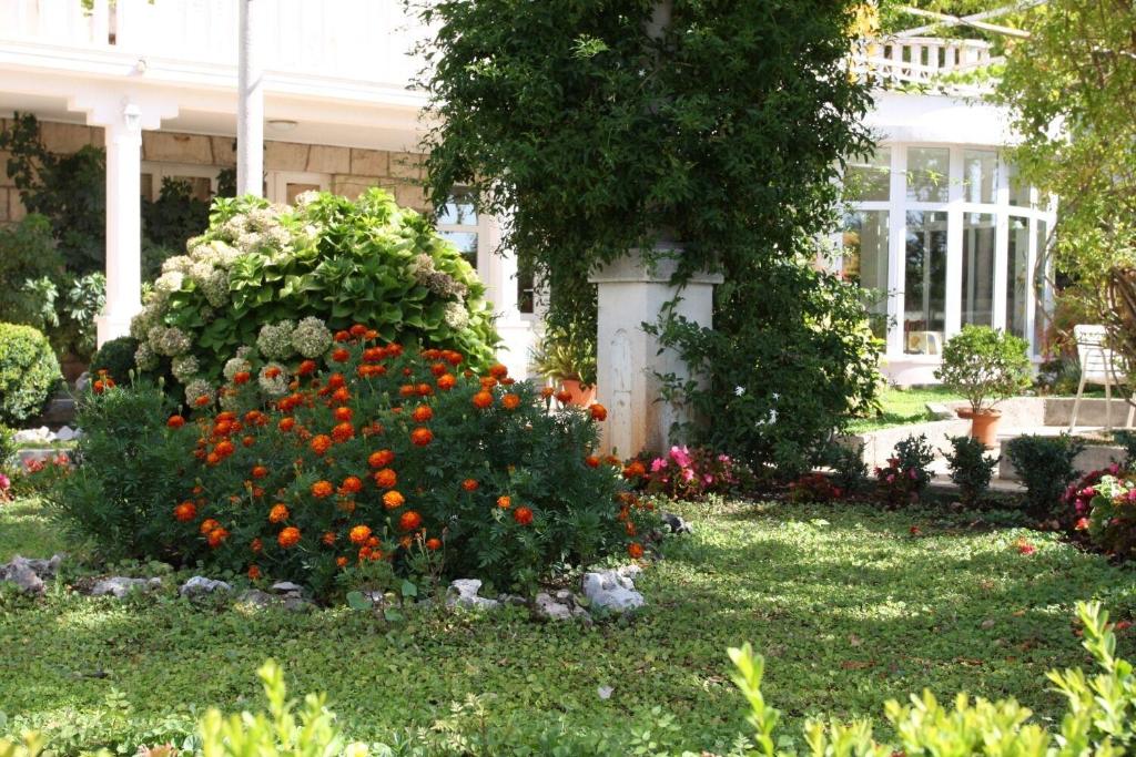 Fotografia z galérie ubytovania Apartments Nikola v Mlini