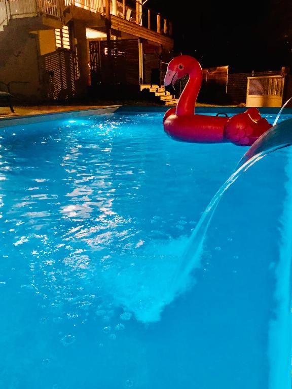 Bazén v ubytování APPARTEMENT T3 "TI CAZE" Villa Bel Kay Nou nebo v jeho okolí
