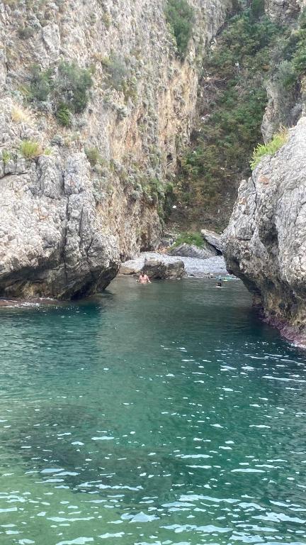 een groep mensen die in een waterlichaam zwemmen bij Casa Julia in Palermo