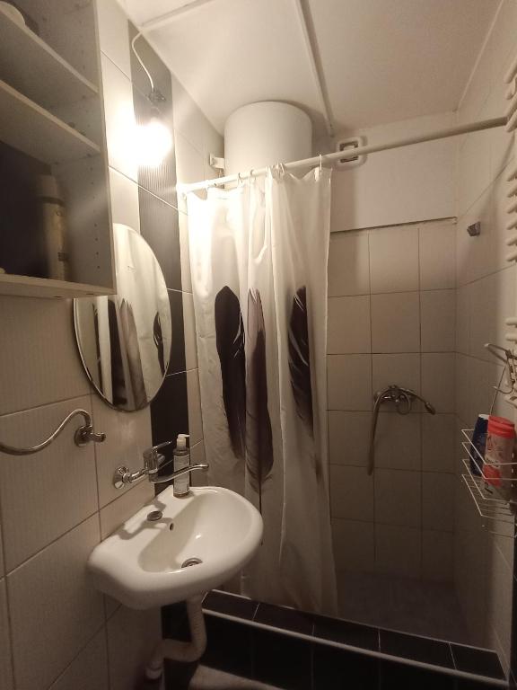 Koupelna v ubytování Carpe Diem Vrbas