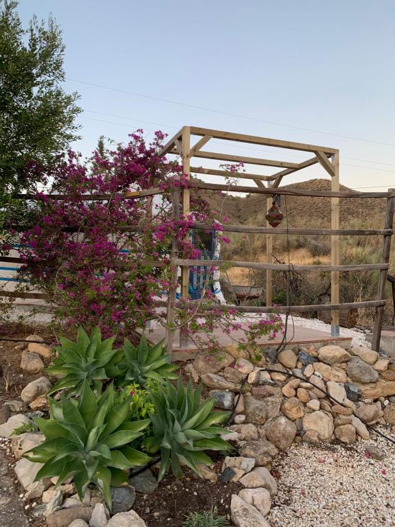 Zahrada ubytování Casa el Chorro