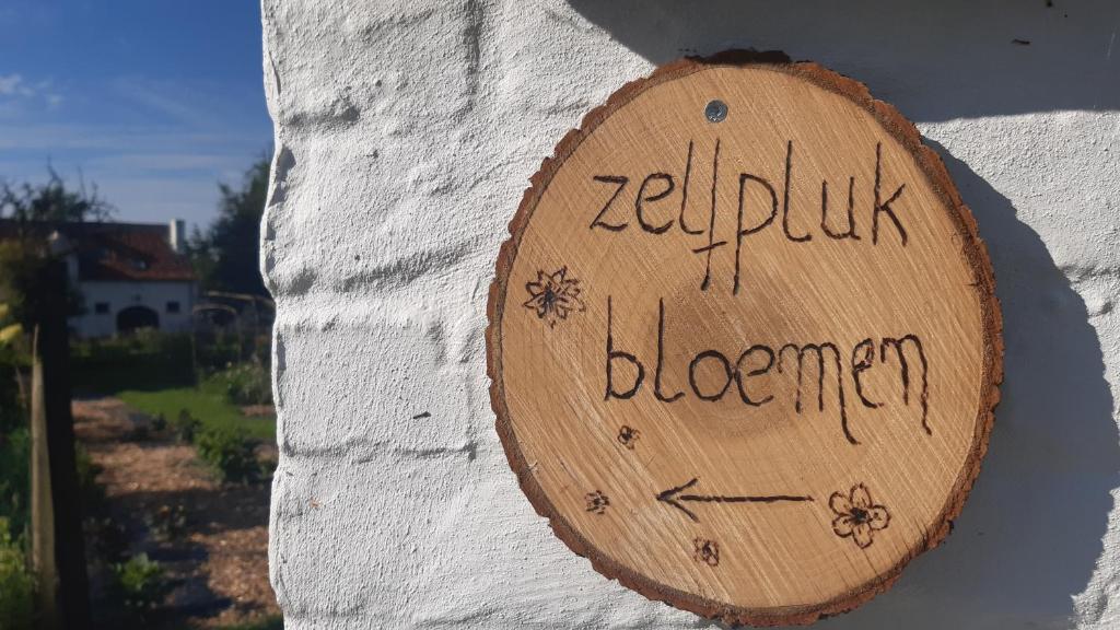 Certifikát, hodnocení, plakát nebo jiný dokument vystavený v ubytování Zee-van-Tijd