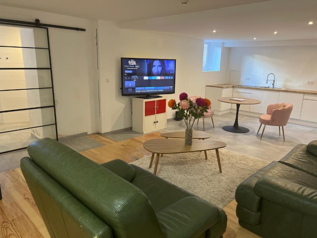 TV a/nebo společenská místnost v ubytování Hôtel Le Manoir