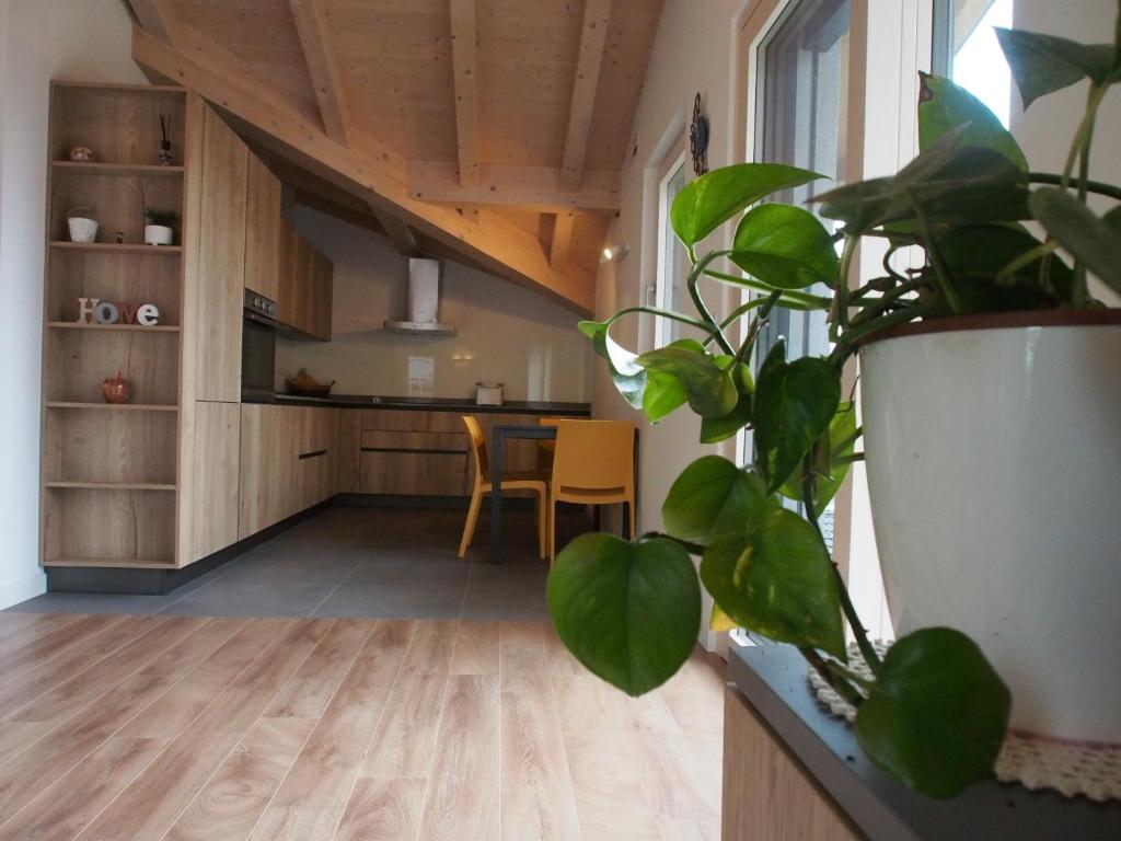 a kitchen with a table and a potted plant at Casa Del Gatto Relax e Natura tra le Dolomiti in Cles