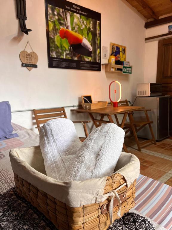 Compostela cabaña privada (private cabin for rent) - 一居室公寓