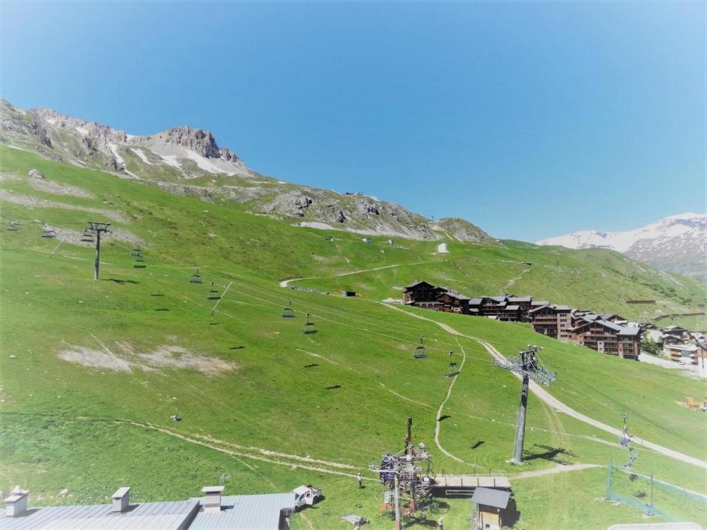 a green hill with houses and animals on it at Résidence Le Palafour - Studio 2 personnes à Tignes au pied des pistes, des commerces proche de l'ESF, de l'office du tourisme dans le quartier du lac. MAE-2159 in Tignes