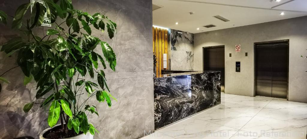 a potted plant in a lobby with a wall at MIRAFLORES CITY HOTEL in Lima