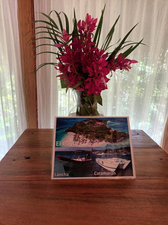 Fotografie z fotogalerie ubytování Samo Eco Lodge v destinaci Las Terrenas
