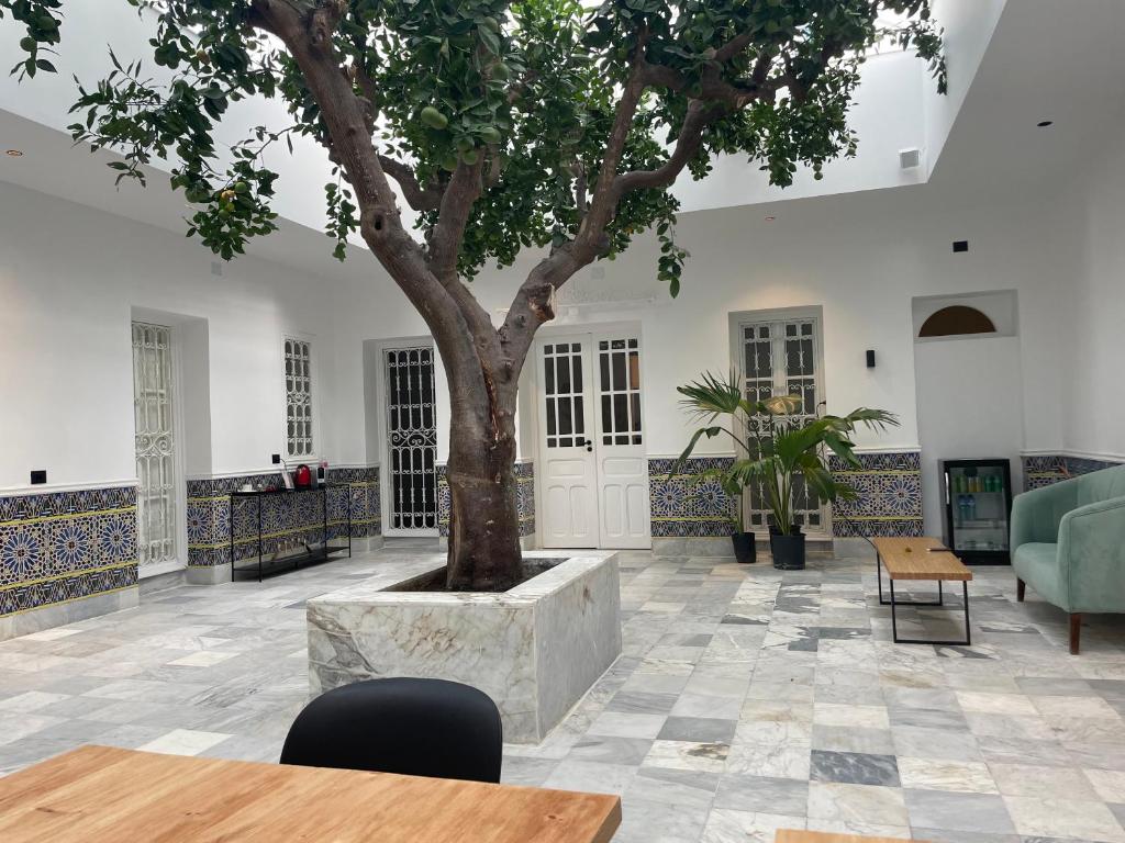 Istumisnurk majutusasutuses Dar Kbira - Sidi Bou Said