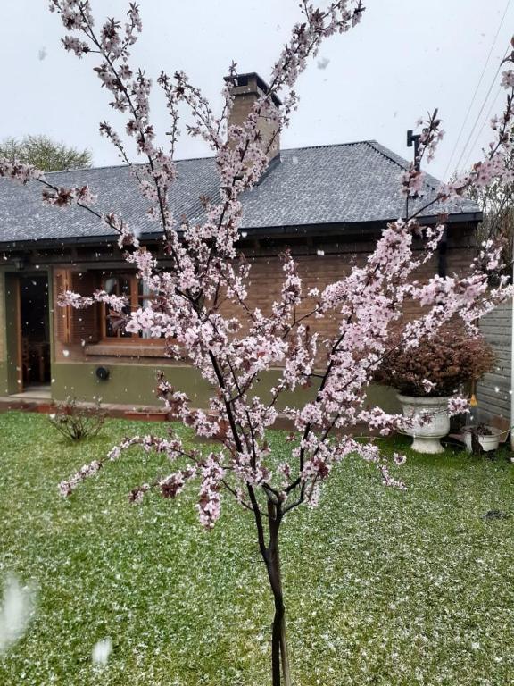 El Quincho de los Abuelos