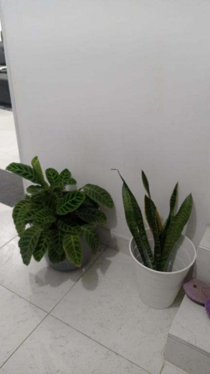 Fotografie z fotogalerie ubytování Habitación de Lujo para Pareja v destinaci Darién