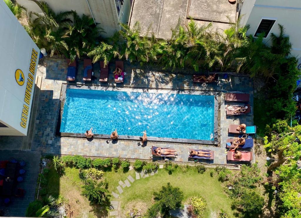 Bazén v ubytování Catba Buffalo Hostel nebo v jeho okolí