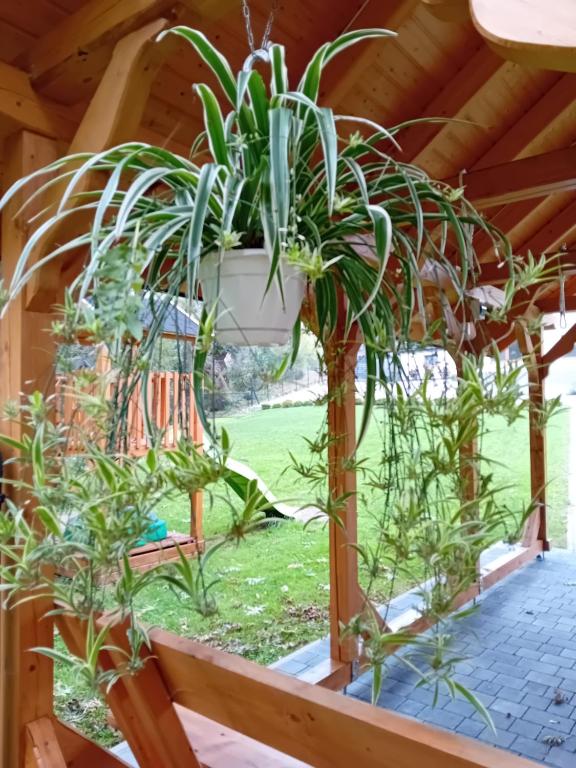 Vonkajšia záhrada v ubytovaní Apartamenty Nad Rzeką