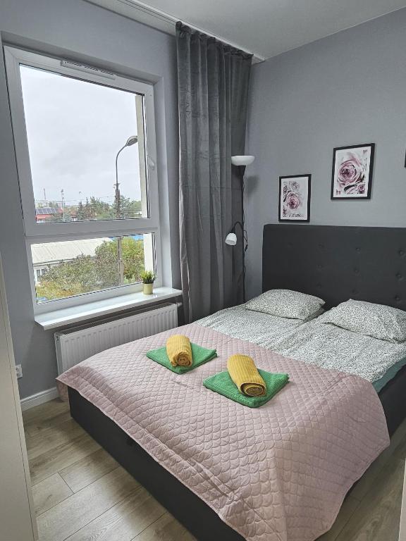 Urban Jungle - Grey Apartment - 6