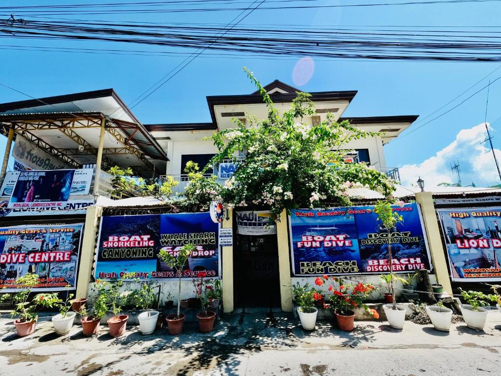 a store front with plants in pots in front of it at Lion Dive Resort in Moalboal