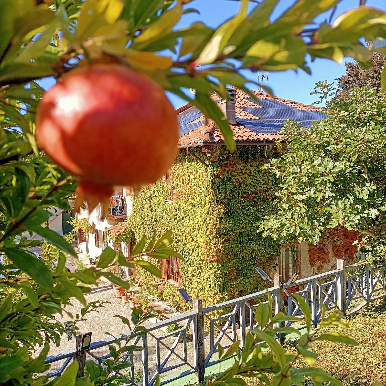 Zahrada ubytování CASA DEL CANTA