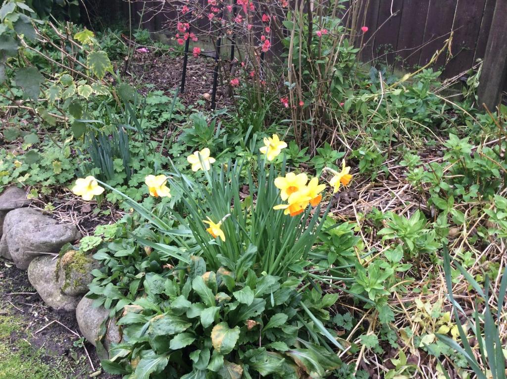 The Old School House bed and breakfast - Resim 26